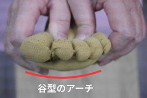 谷型の横アーチ